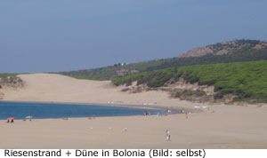 Bolonia Andalusien Strand Dne
